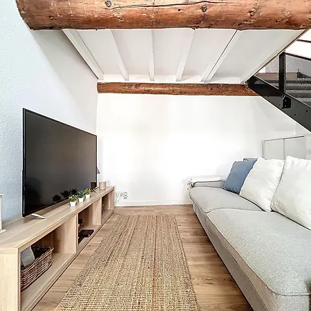 Duplex Sous Les Toits Apartment