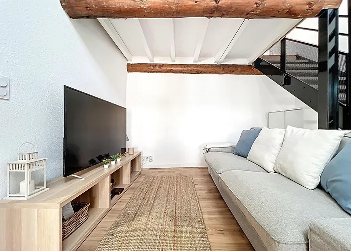 Duplex Sous Les Toits Apartment